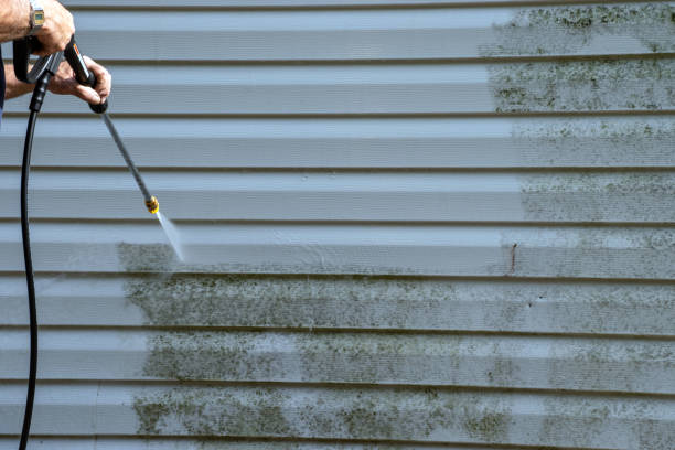 Best Carpet Removal and Disposal  in Lindenhurst, NY